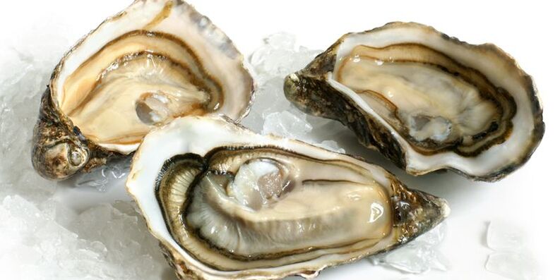 oysters for potency photo 2