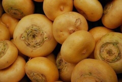 turnip to improve potency