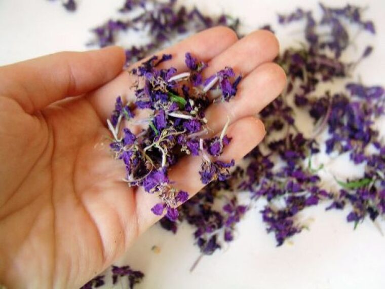 Medicinal products are prepared from dried fireweed flowers